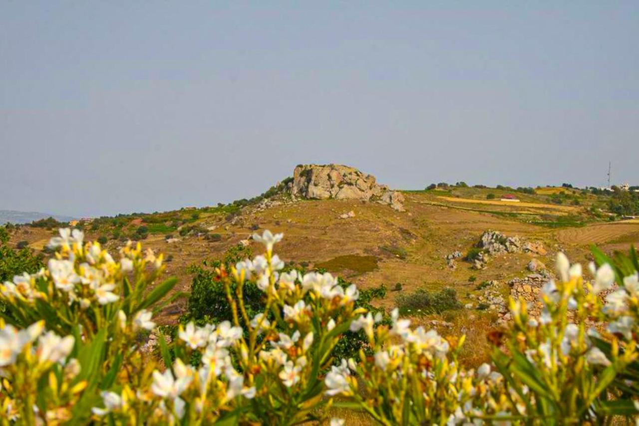 Villa Styliani Dhrousha Kültér fotó